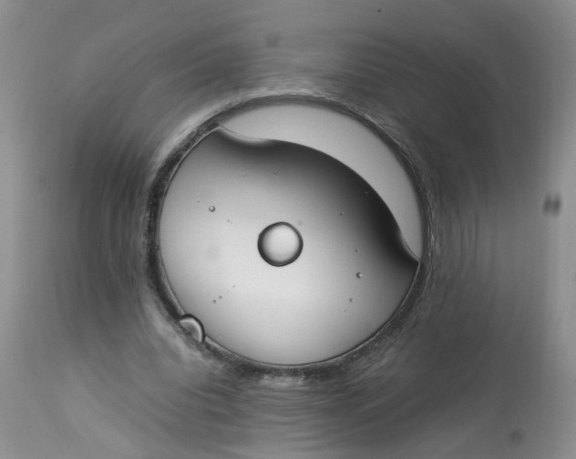 X0000112870440200909111536