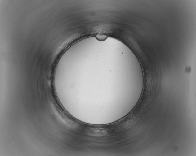 X0000112870443200909111536