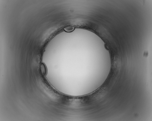 X0000112870448200909111536