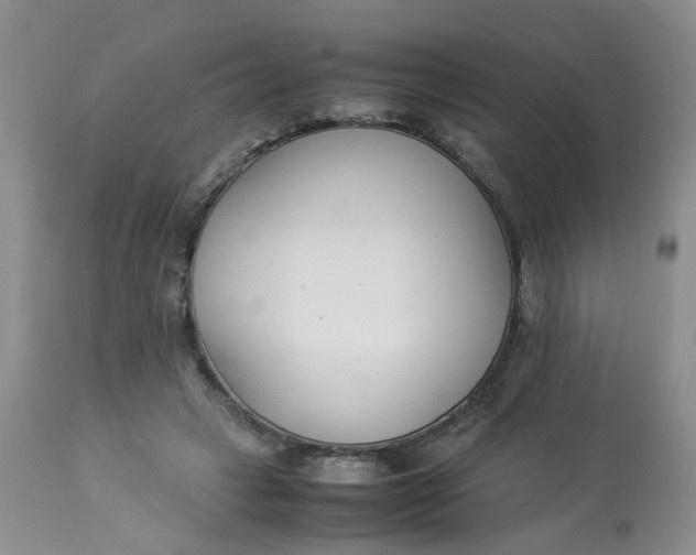 X0000112870449200909111536