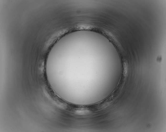 X0000112870451200909111536