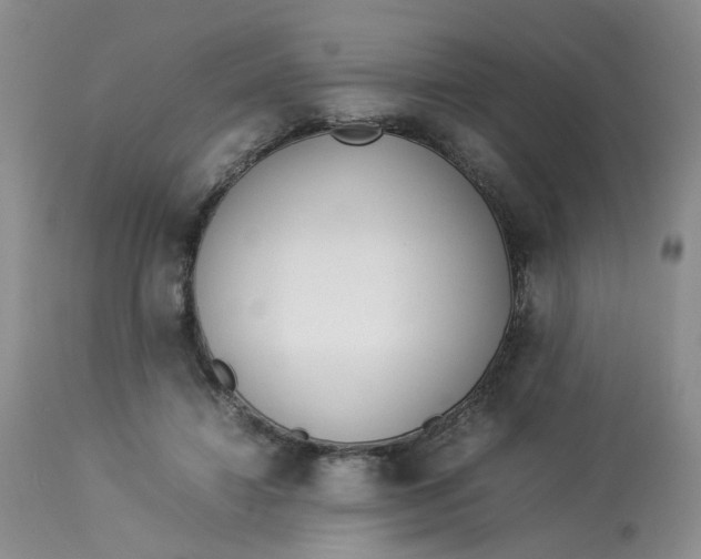 X0000112870452200909111536