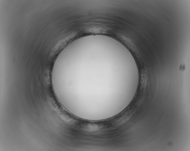 X0000112870453200909111536