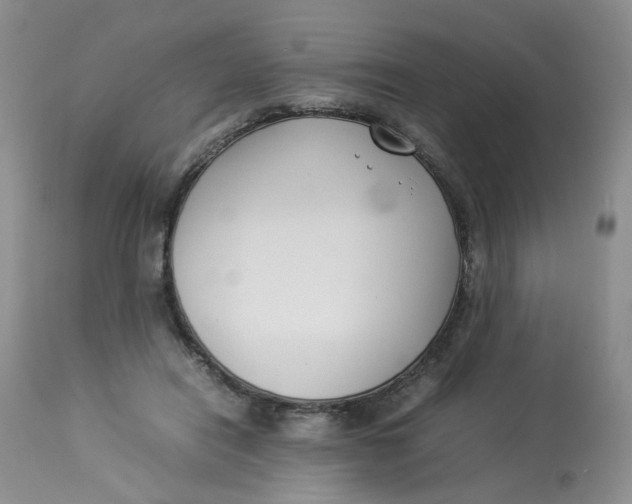 X0000112870454200909111536