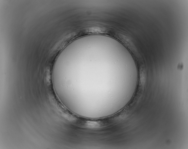 X0000112870457200909111536