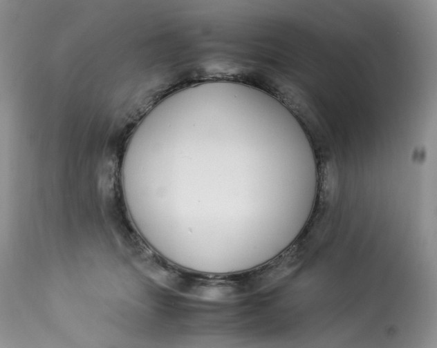 X0000112870463200909111536