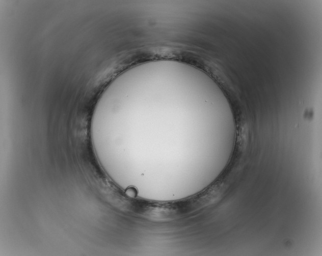 X0000112870466200909111536