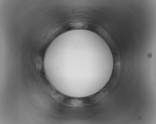 X0000112870469200909111536