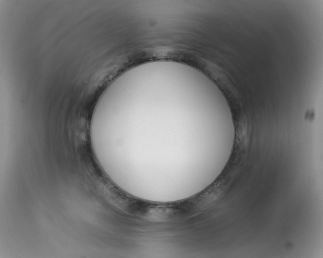 X0000112870470200909111536