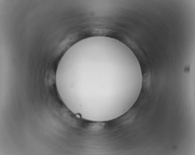 X0000112870474200909111536