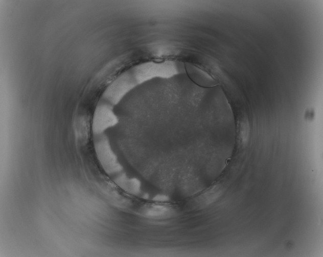 X0000112870475200909111536