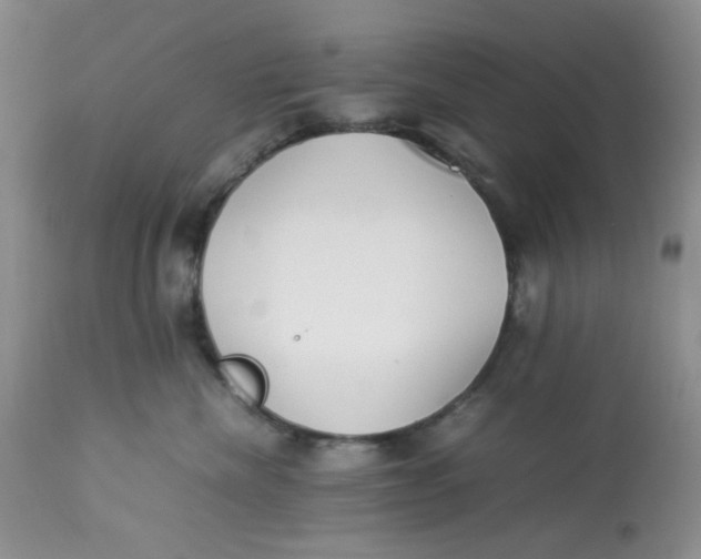 X0000112870476200909111536