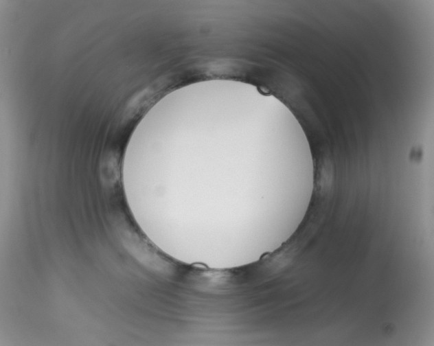 X0000112870478200909111537