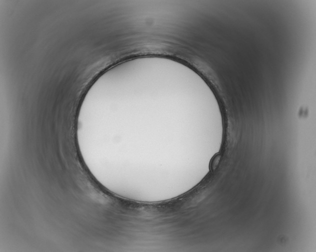 X0000112870481200909111536