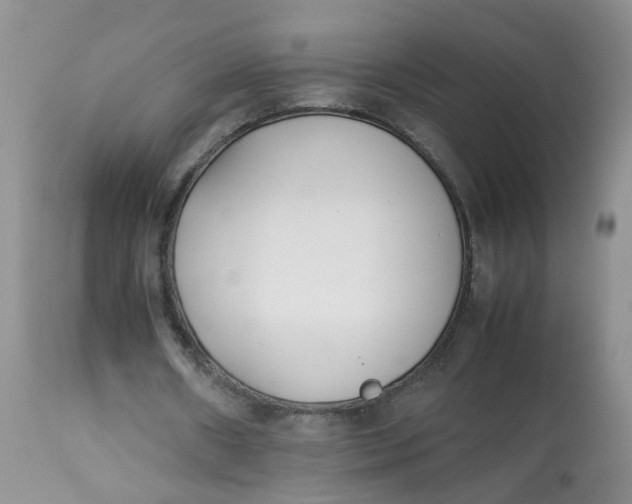 X0000112870482200909111536