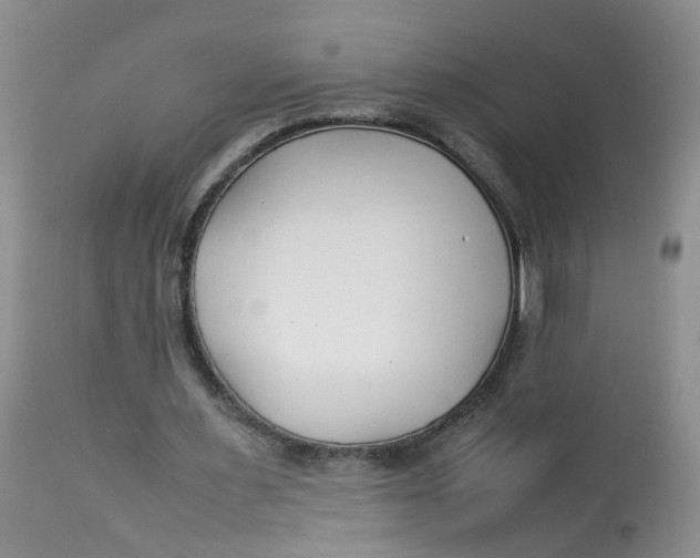 X0000112870483200909111536