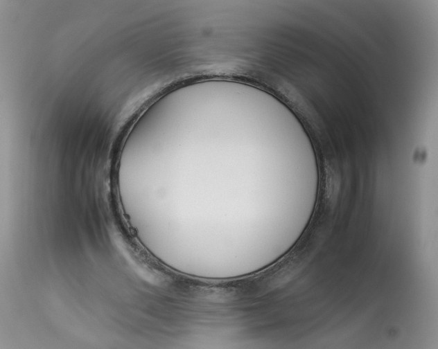 X0000112870486200909111536