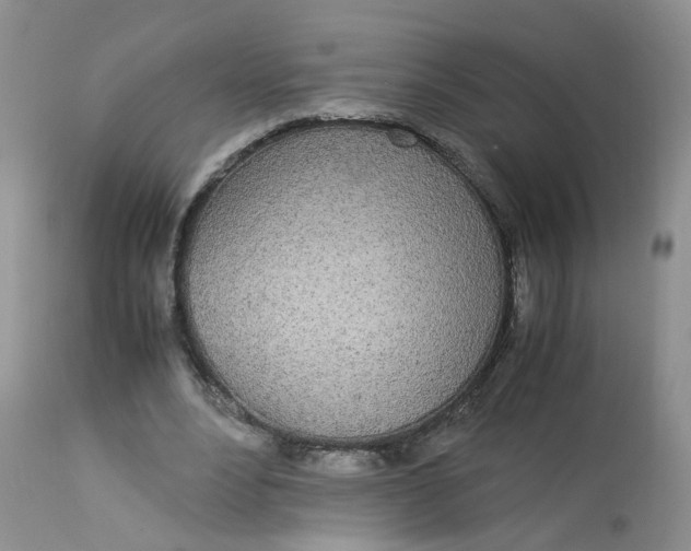 X0000112870488200909111536