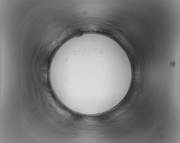 X0000112870489200909111536