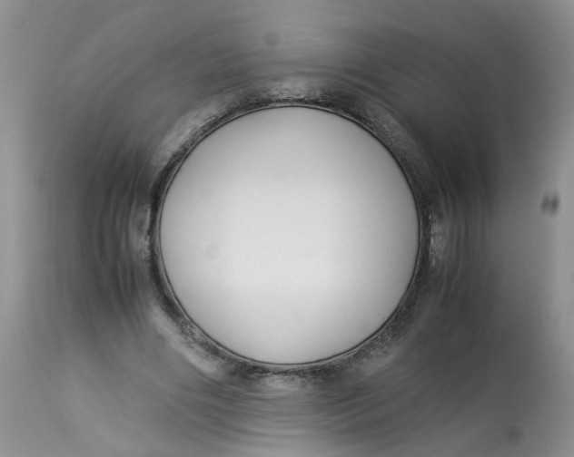 X0000112870490200909111536