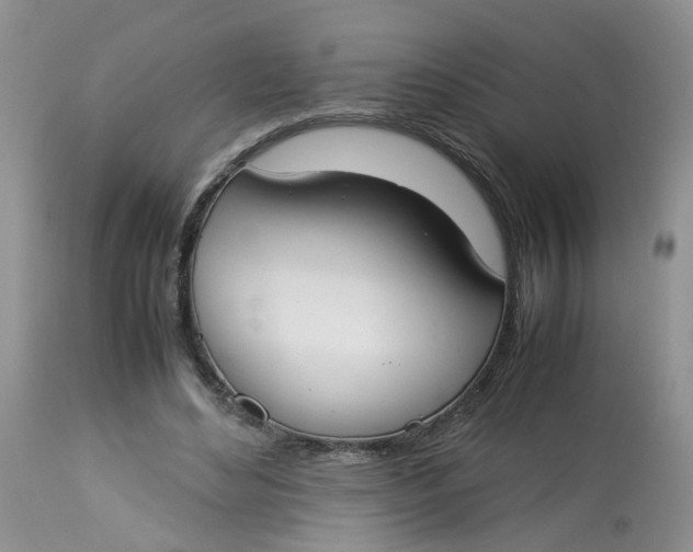 X0000112870492200909111536