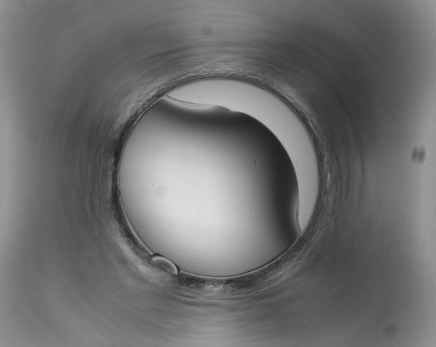 X0000112870493200909111536