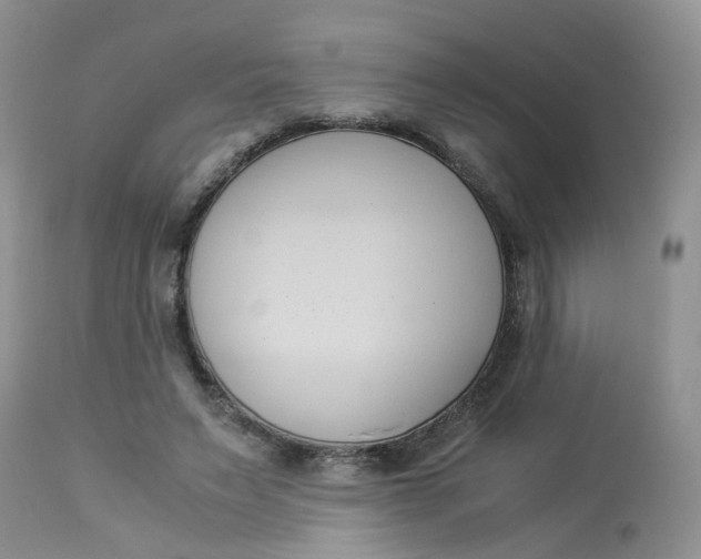 X0000112870495200909111536