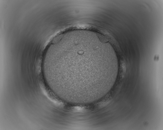 X0000112870496200909111536