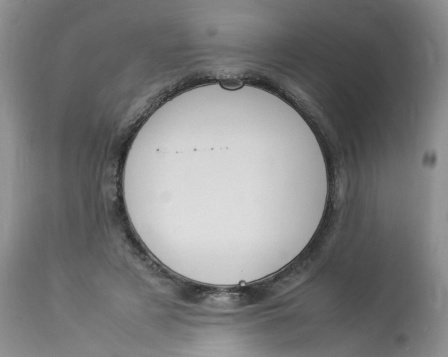 X0000112870497200909111536