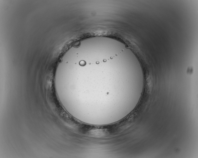 X0000112870499200909111536