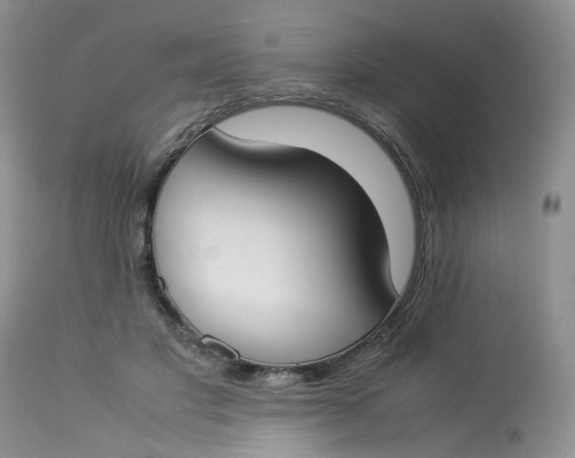 X0000112870501200909111536