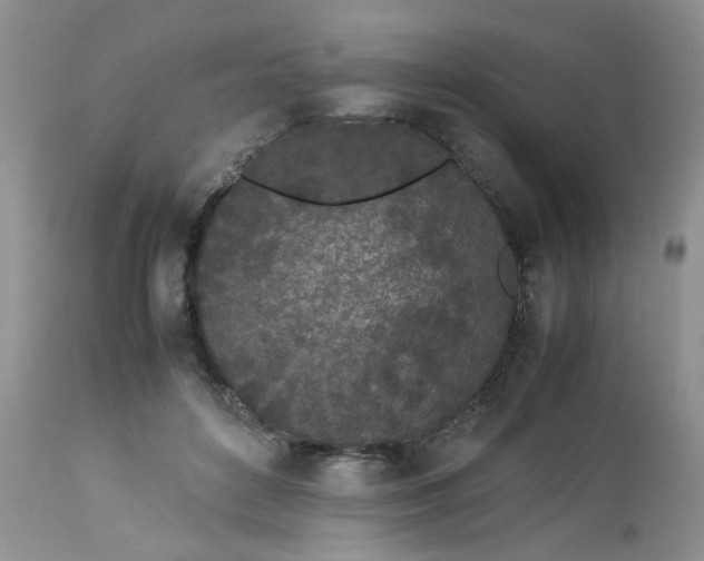 X0000112870504200909111536