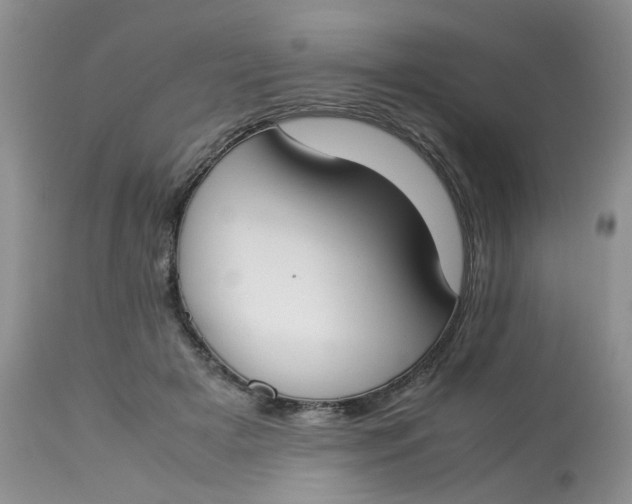 X0000112870505200909111536