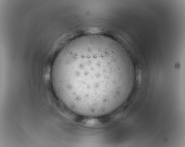 X0000112870507200909111536