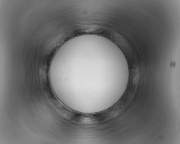 X0000112870510200909111535