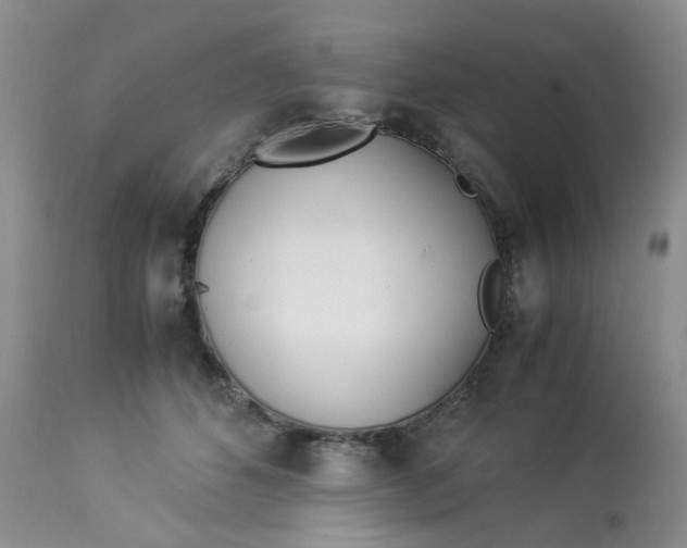 X0000112870512200909111535