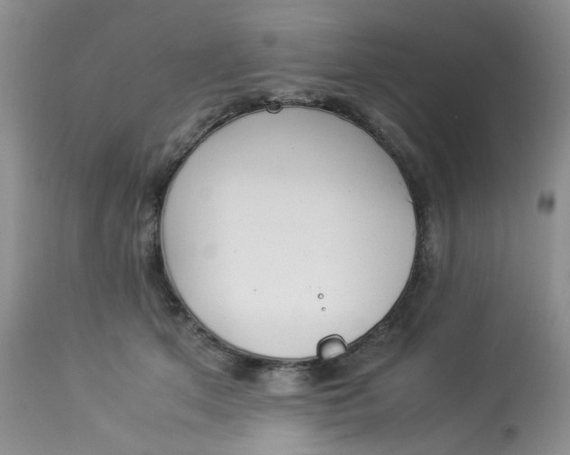 X0000112870513200909111535