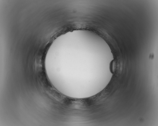 X0000112870516200909111535