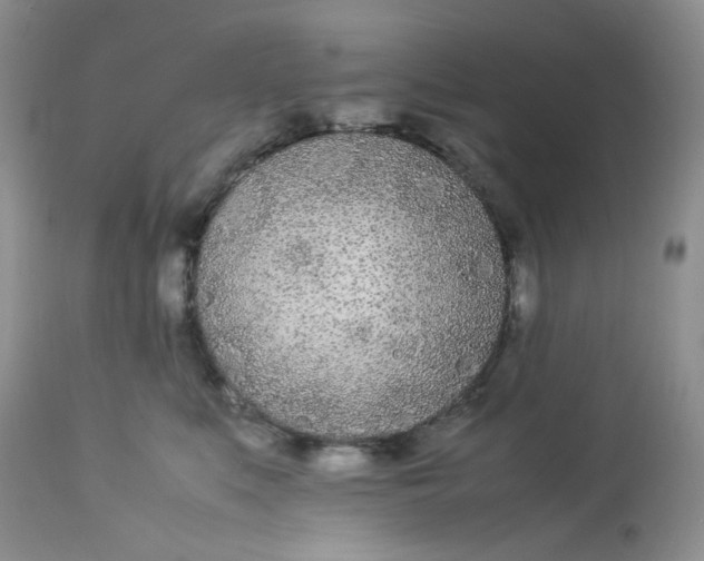 X0000112870519200909111535