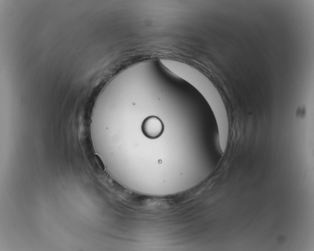 X0000112870520200909111535