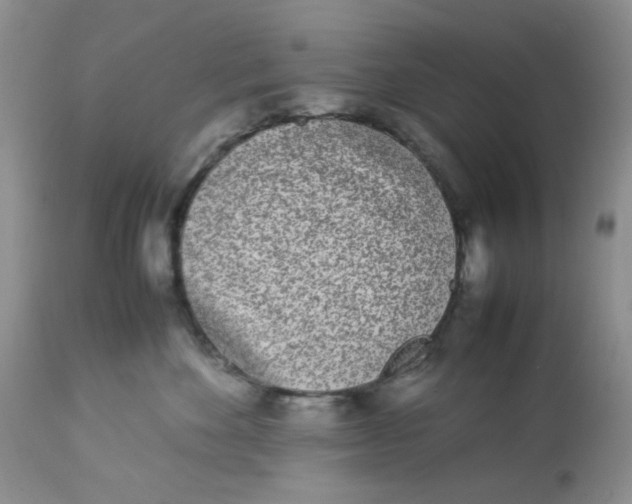 X0000112870524200909111535