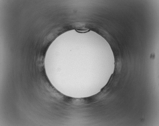 X0000112870525200909111535