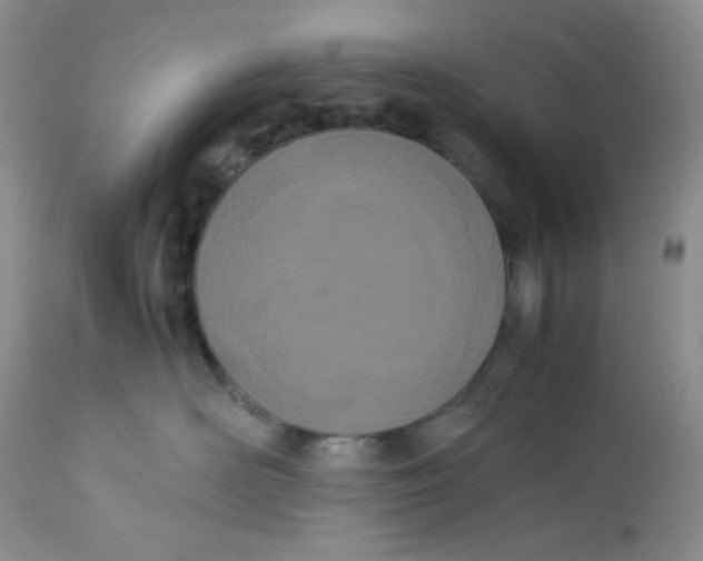 X0000112870526200909111535