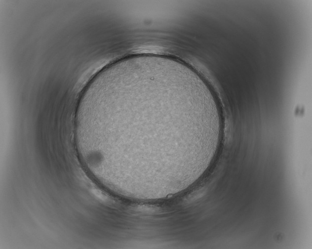 X0000112870529200909111534