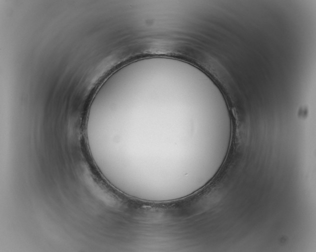 X0000112870530200909111534