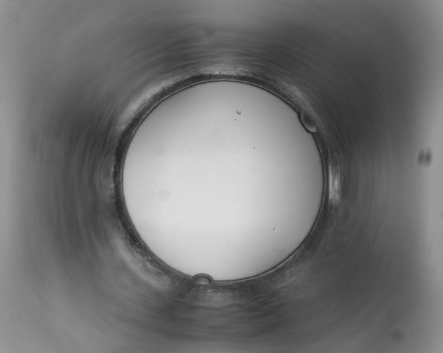 X0000112870531200909111534