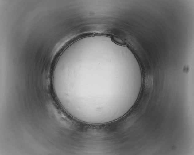 X0000112870532200909111534