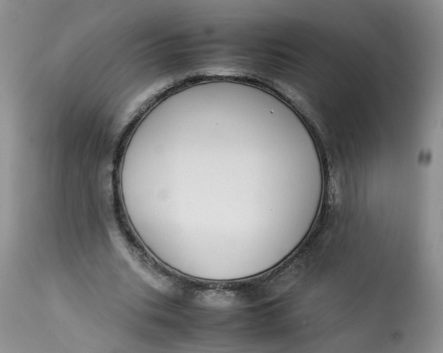 X0000112870535200909111534