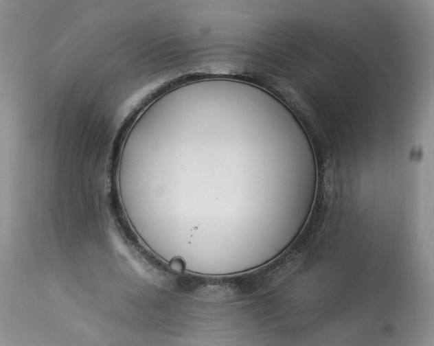 X0000112870536200909111535