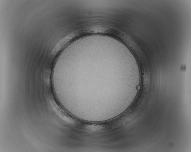 X0000112870537200909111535